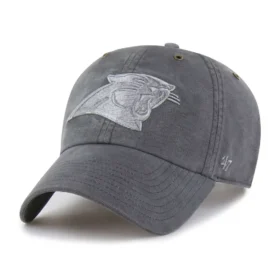 Carolina Panthers '47 Dyed Clean Up