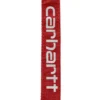 Field Dog Leash