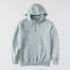 Men's Paxton Water Repellent Heavyweight Quarter Zip Hoodie - Carhartt Rain Defender Hoodies
